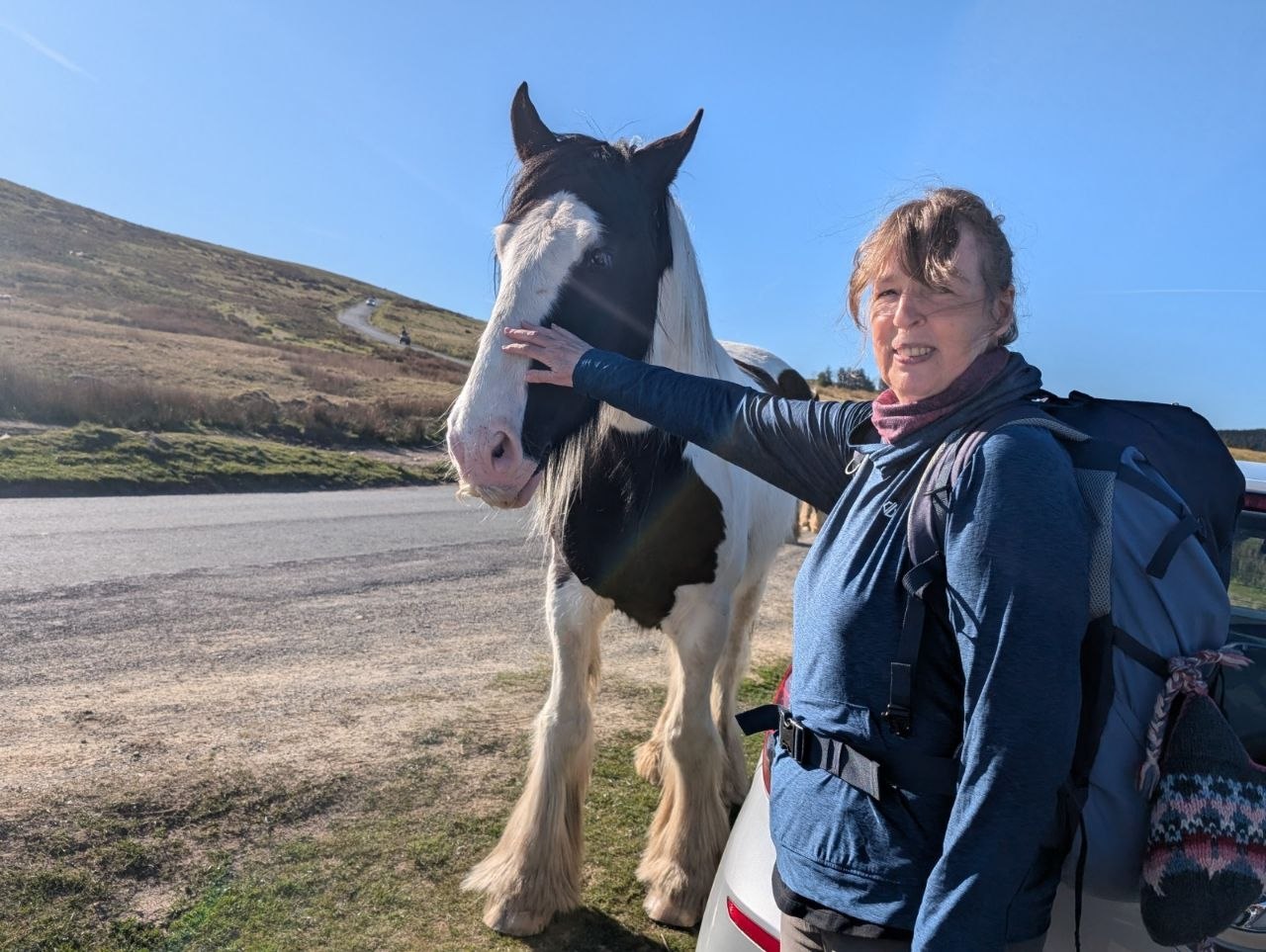 On the fell road with a cob
